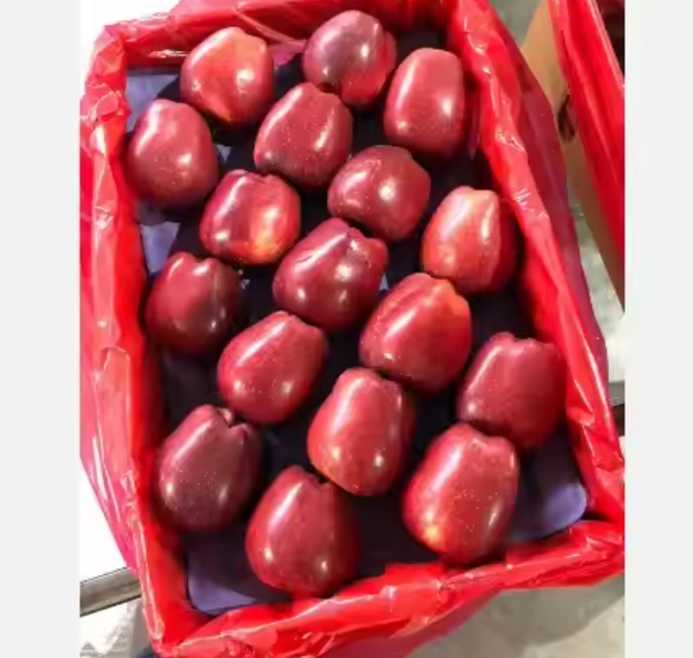 Fresh Premium Apples – Export Quality Red, Green & Golden Apples for Wholesale, Supermarkets & Global Importers - Image 2