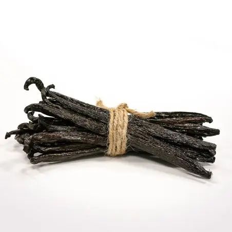 Vanilla Bean - Image 5