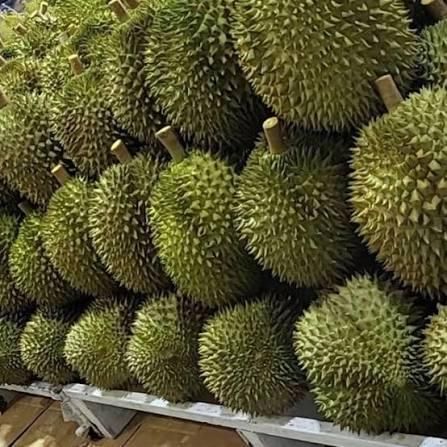 FRESH DURIAN/ DRIED DURIAN/ FROZEN DURIAN Shelf Life 2 YEARS Place of Origin THAILAND - Image 4
