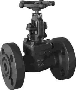 Wafer Style Valve Designed for Compact Installation Between Flanges in Piping Systems Globe Valve - Image 1
