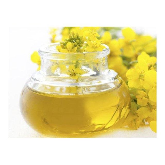 Discount price canola oil available for large scale resale and trade demand - Image 3