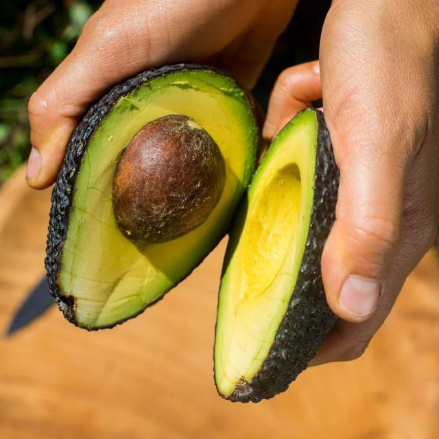 Premium Fresh Avocados - Image 2