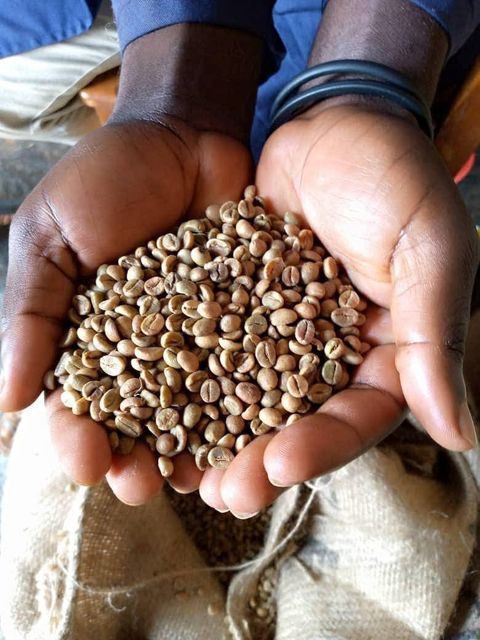 coffee beans - Image 2