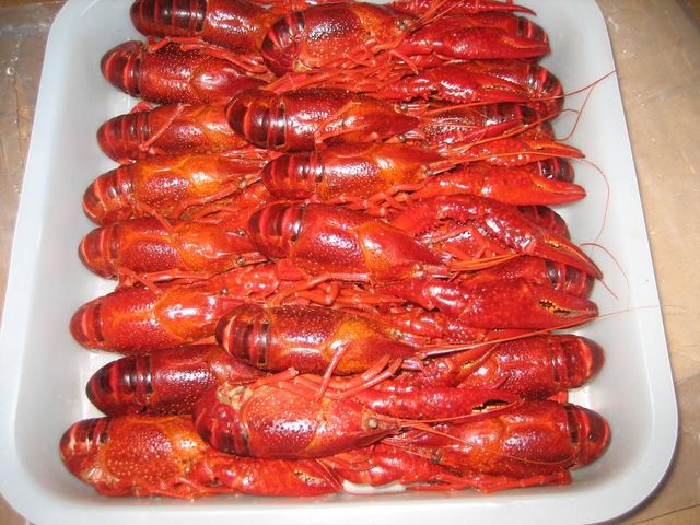 Frozen Crayfish Whole Seafood Product Featuring 100% Carefully Selected Catch For International Wholesale Buyers - Image 1