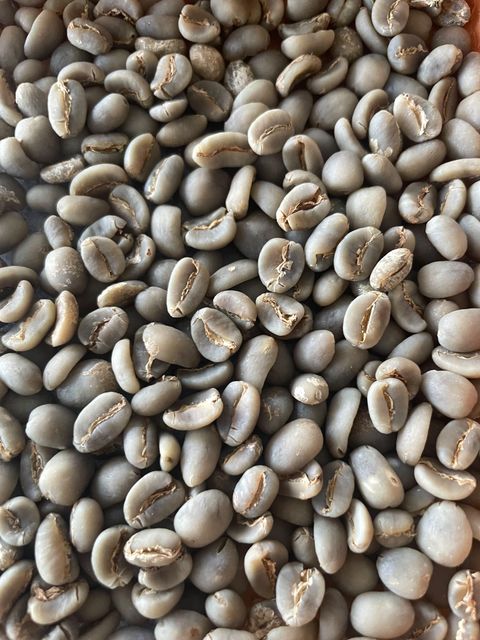Green bean coffee robusta & Arabica Indonesia - Image 4