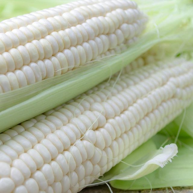 Natural White Corn Farm Fresh Corn Processed Carefully To Ensure Maximum Purity And Quality - Image 4