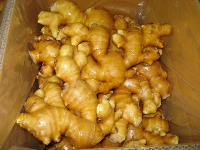 Fresh Ginger from Thailand – Premium Export Grade 100 - 150 g | Zingiber officinale | Cold Chain 12–14°C - Image 3
