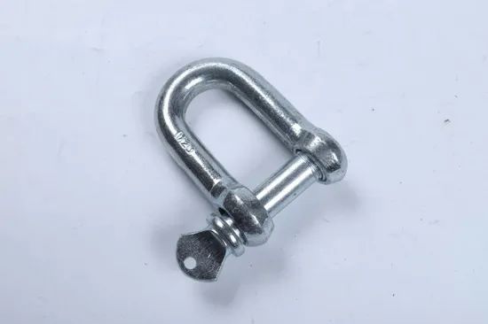 Us Type G210 Dee Shackle Chain Shackle Condition New Color OEM/ODM Model No. G209 Process Forged Usage Industrial HS Code - Image 4