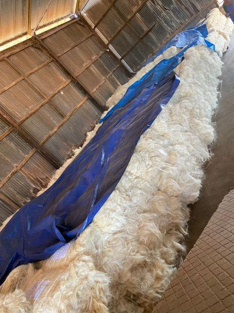 Top Quality Sisal Fibre / Sisal Hemp / Natural UG Grade. BEST PRICE in the MARKET Cheap Good Quality Sisal Fiber Factory Price - Image 3