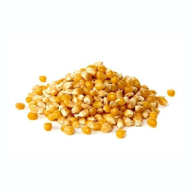 Affordable yellow corn available in large quantity for distributors and buyers - Image 1
