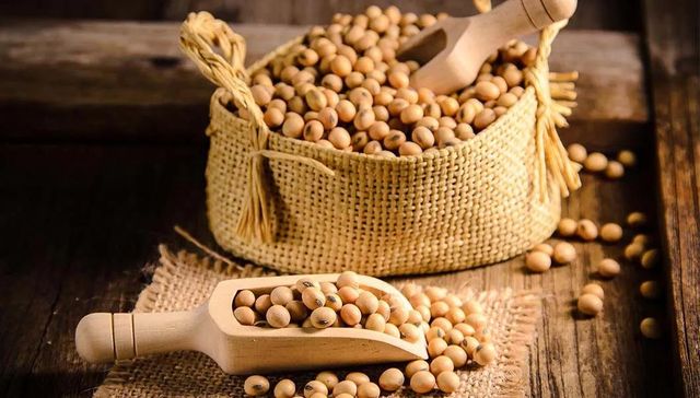 Premium Soybeans For Food Processing Animal Feed And Agricultural Use With Reliable Quality And Consistent Supply – product photo 4, product detail gallery