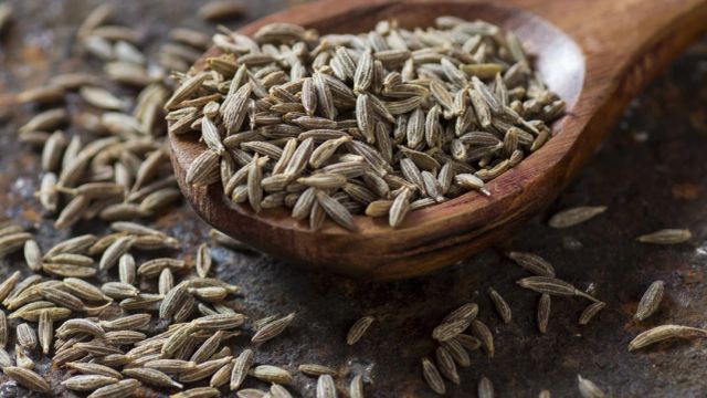 Fenne Organic Yes Origin Other Shelf Life 2 year Freshness Level Fresh Degree of Processing Other - Image 2