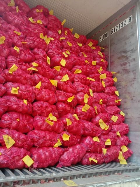 fresh red onion nashik india Place of Origin Nashik India Packaging 5,10,20,50 Kg Packing - Image 4