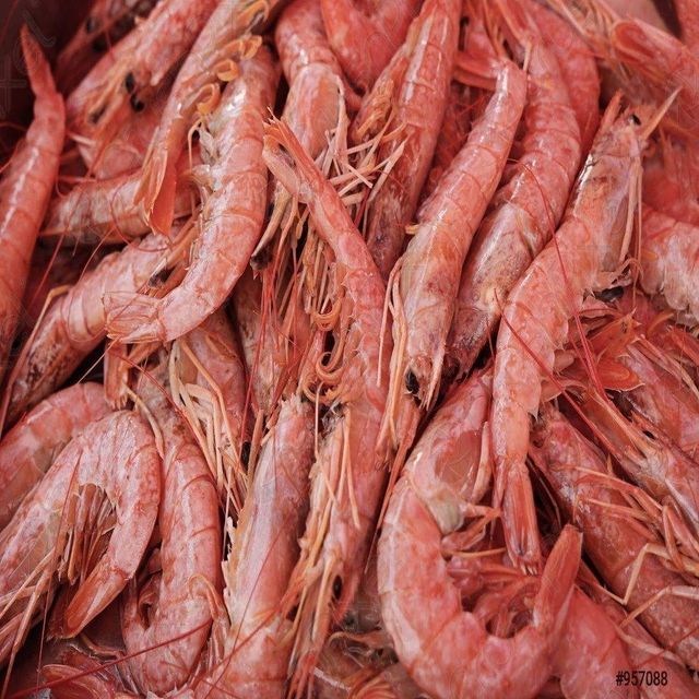Frozen Red Shrimp Premium IQF Wild Caught Sweet Taste High Quality Export Seafood for Wholesale - Image 2