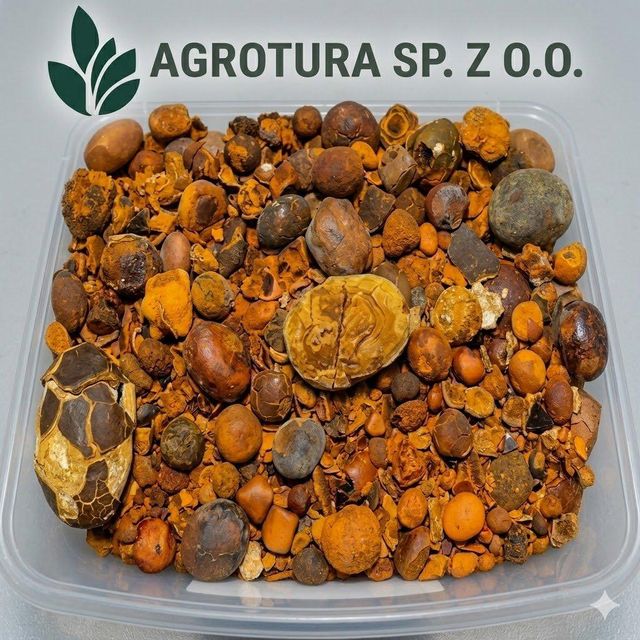 Premium Wholesale Cow Ox Gallstones – High Purity Natural Bovine Gallstones for Traditional Medicine and Pharmaceutical Use, Carefully Selected and Processed for Maximum Quality, Consistency, and Global Export Supply with Custom Packaging and Reliable Bulk Delivery Options - Image 4