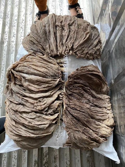 Organic Smoked Dried Beef Omasum Salted Dried Boneless Stomach Body 1 Year Shelf Life Cold Storage Frozen Packaging - Image 1