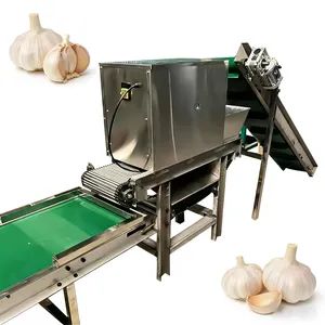 Long Life Robust Structure Intelligent Automatic Garlic Peeling Line - Image 6