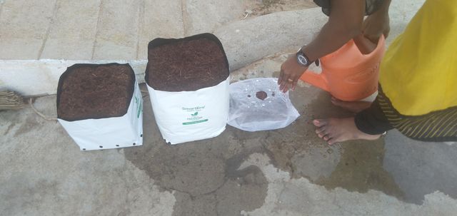 Coco Peat & Coir Pith 15x15x10 cm Messi Qub low EC only - Image 2