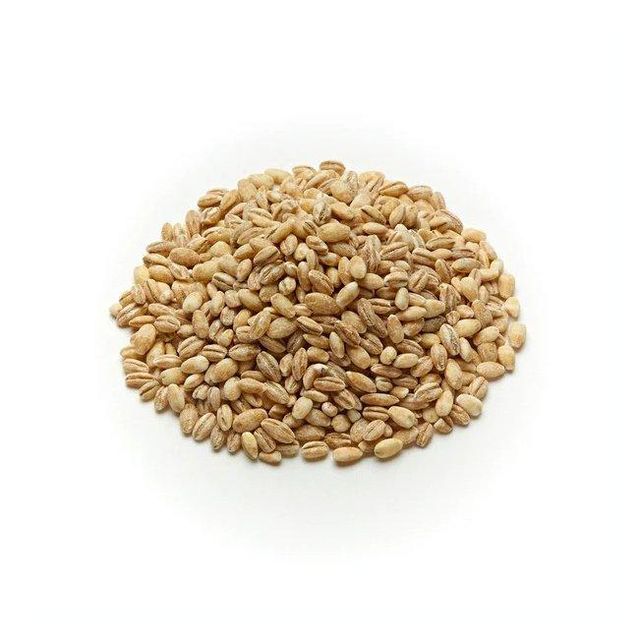 Bulk barley grain wholesale supply with fast global delivery Features GMO-Free Type Einkorn Wheat Shelf Life Extended Moisture Content Low - Image 3
