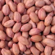 Raw Red Peanut, blanched Peanut Kernels,Bold Peanuts Blanched Peanuts Java Peanuts/ Raw Peanuts Kernel / Raw peanut insh - Image 4