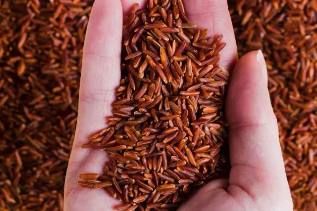 Red rice - Image 3