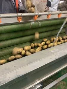 Yam Lotus Root Potato Hair Roller Cleaning Peeling Machine - Image 6
