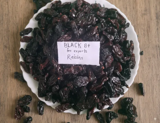 Premium Black Raisin - Image 2