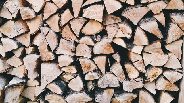 Buy Alder firewood Premium Quality hardwood logs perfect for clean burning strong heat output ideal for home heating cooking and fireplaces Fast Delivery available now with trusted service and reliable supply - Image 3