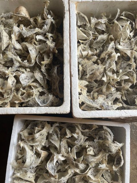 Original Taste Pure Viet Nam Edible Bird's Nest Custom Package - Image 3