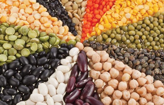 Pinto Bean - Image 1