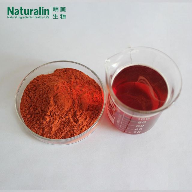 Green Tea Extract - Image 3