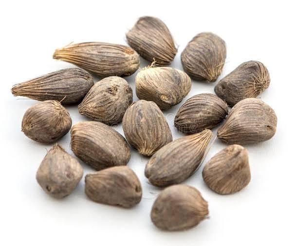 palm oil and Kernel palm - Image 1