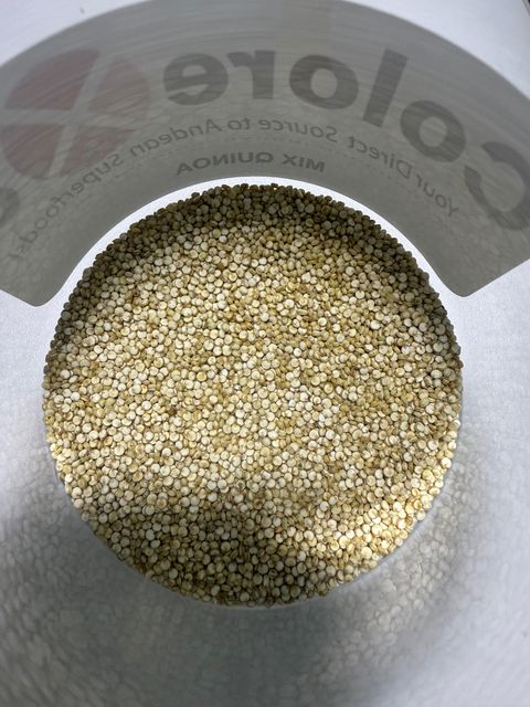 Quinoa - Image 1