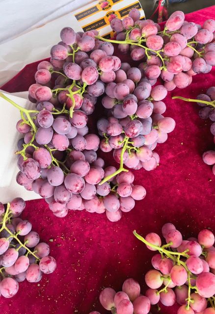 Chínese grape (shine muscat, red globe, black summer, crimson) - Image 4