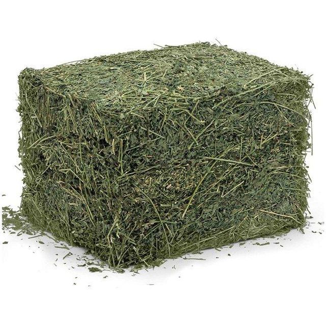 ready to supply alfalfa hay bays / Alfafa pellets / Dehydrated Alfalfa cubes timothy hay Alfalfa Hay / Timothy Alfafa Hay / Rhode Hay Alfalfa Hay for Animal Feed Cattle Horse Cow Chicken Pet - Image 4