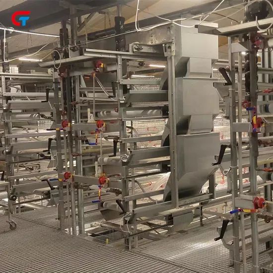 Factory Price H Type Layered Chicken Farm Automatic Poultry Cages - Image 3