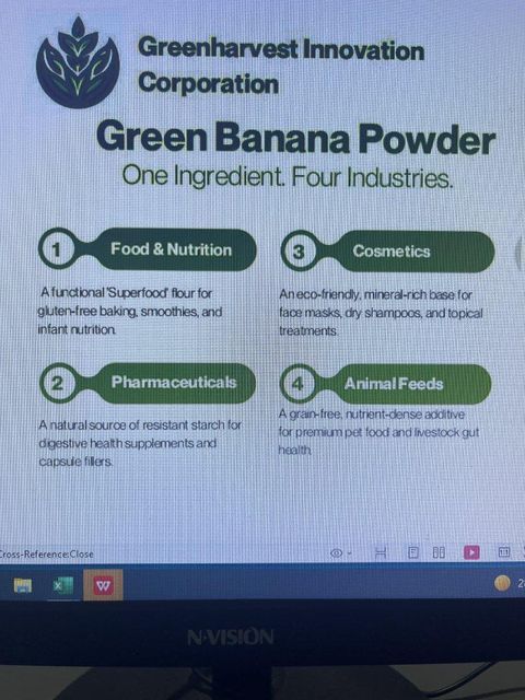 Dried Banana Powder - Image 2