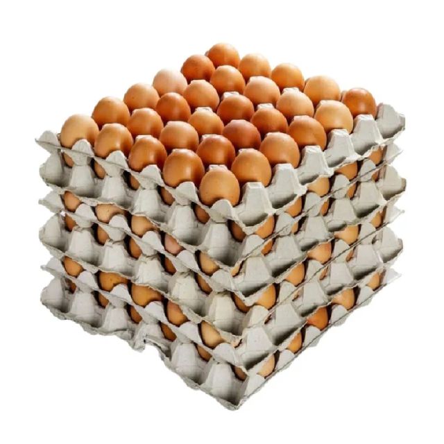 Premium Farm Fresh Chicken Eggs in Durable 30-Egg Trays – Wholesale Grade A Brown & White Eggs – Bulk Supply for Retailers, Distributors & Supermarkets - Image 1