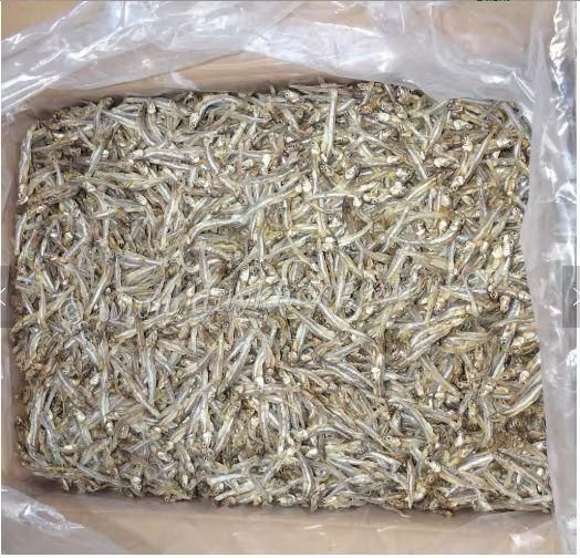 High Quality Dried Small Fish (Tiny Anchovy) From Thailand Wholesaler Manufacturers Seafood Dried Anchovy Fish Anchovies Fish - Image 1
