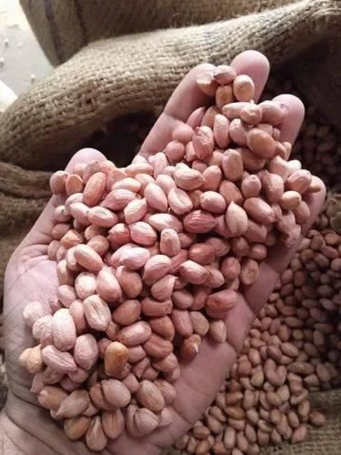 Peanut kernel - Image 1