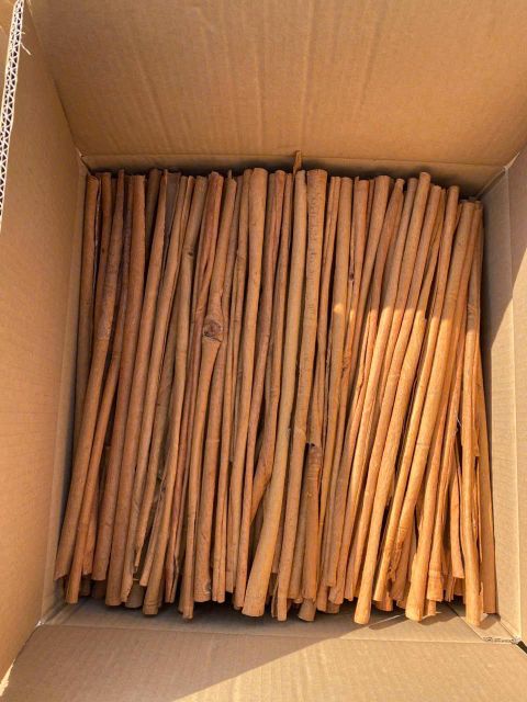 Cinnamon - Image 4