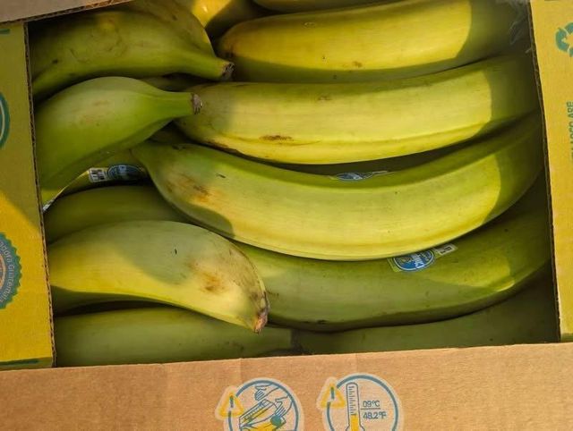 Plantains - Image 5