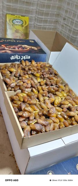 Premium Algerian Dates Deglet Nour 2026, DRIED DATES Grade A, Packaging 5KG Brand Name AGROBDT Technical Specification According to CODEX STAN 143-1985 & ISO 16649-2 - Image 3