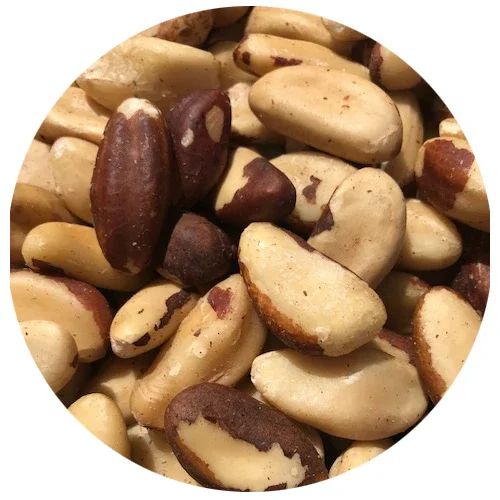 Natural Brazil Nuts Raw Whole Fresh Nuts Bulk & Wholesale Options Cheap Prices - Image 2