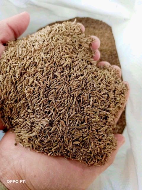 Caraway and fennel seeds Origin Egypt - Image 3