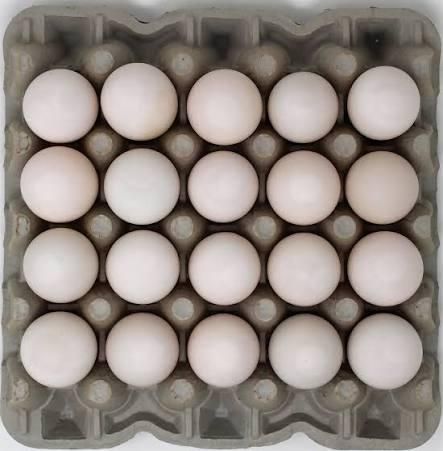 Fresh White Chicken Eggs Wholesale Distribution - Image 3