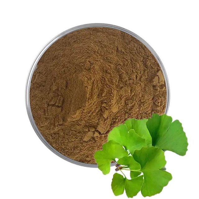 High Quality Ginkgo Biloba Extract Powder 24% Content Manufacturer Flavonoids Supplement Ginkgo Biloba Extract Powder - Image 1