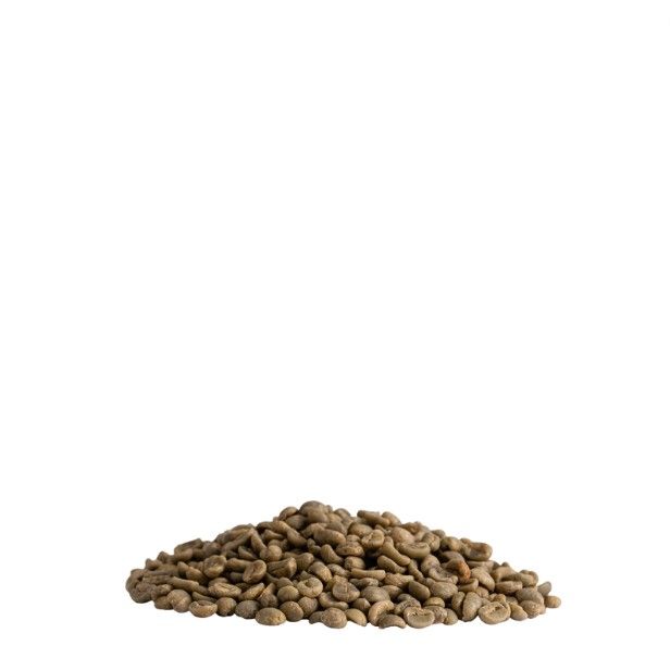 Premium Quality Malawi AA Mzuzu Maple Dried Fruit Arabica Green Coffee Raw Beans 1 kg bag Green Coffee Beans For Wholesale - Image 1