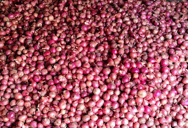 Fresh Onion Form Rings Organic Yes Origin Bangladesh Supply Stability Stable Degree of Processing Dried Quality Standard Consistent - Image 1