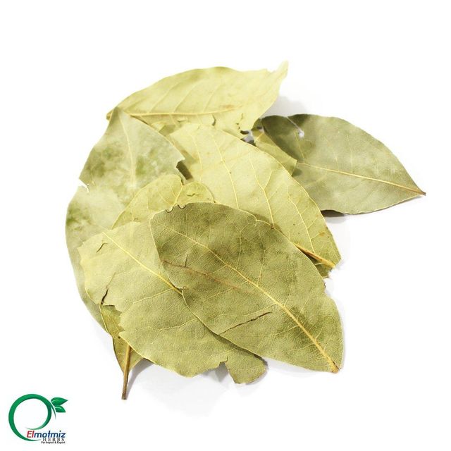 Dried Bay Leaves (Laurel Leaf) – Premium Export Grade, Whole Leaf, Egypt Origin - Image 4